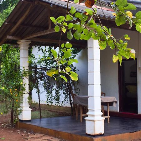 Senu Homestay Сигирия Экстерьер фото