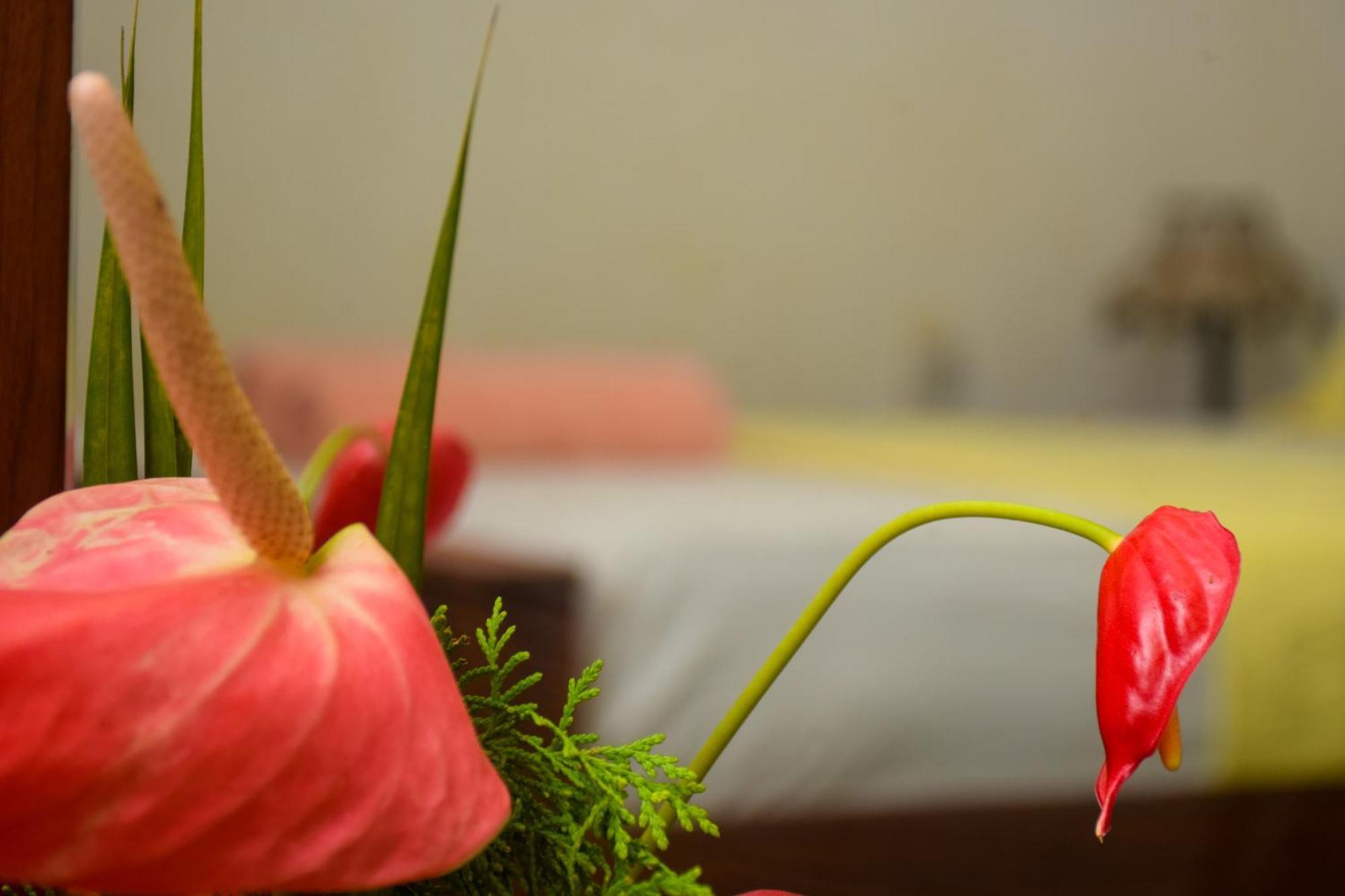Senu Homestay Сигирия Экстерьер фото