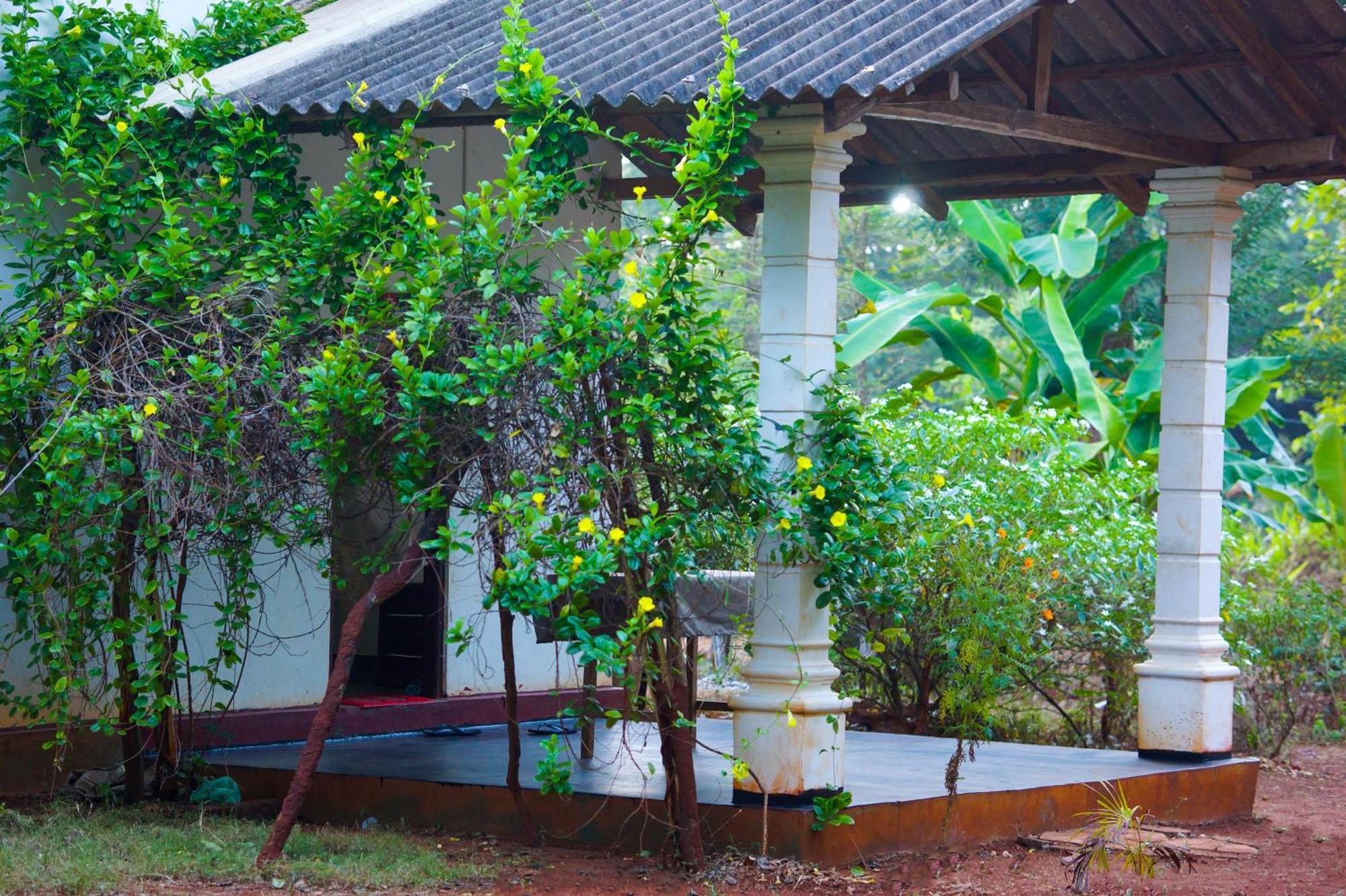 Senu Homestay Сигирия Экстерьер фото
